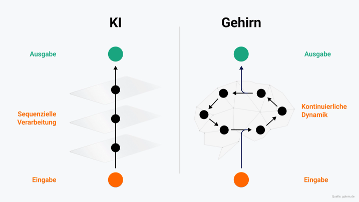 Darstellung der Verarbeitung von Informationen im Gehirn und bei der KI.