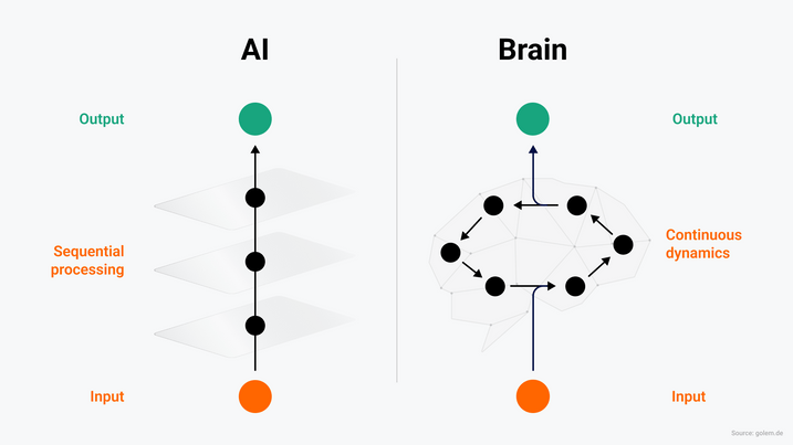 Comparison of how the brain and AI work