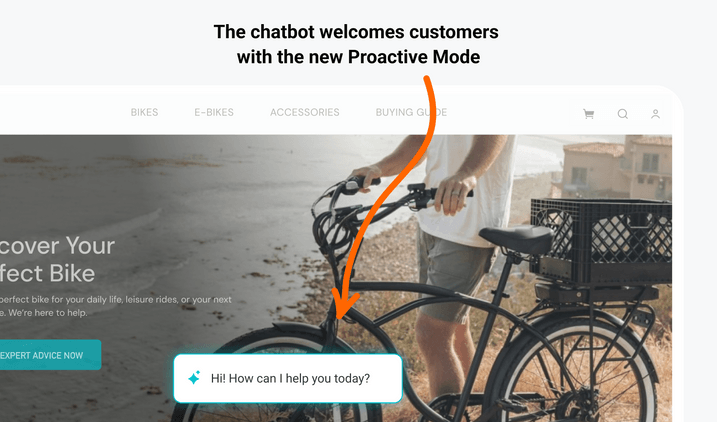 Example of an online shop with activated proactive mode